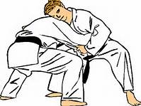 icone judoka mvt1